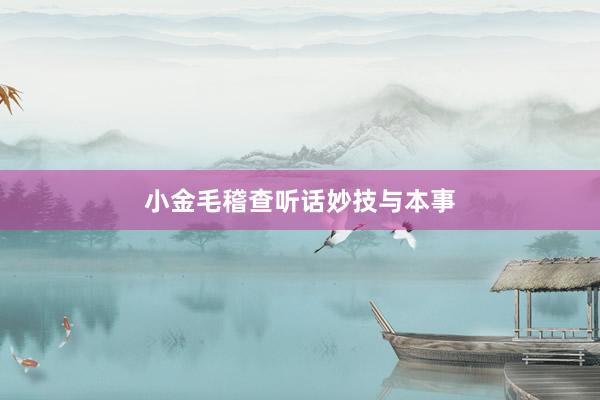小金毛稽查听话妙技与本事