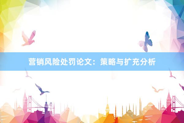 营销风险处罚论文：策略与扩充分析