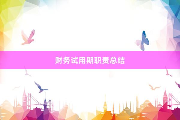 财务试用期职责总结